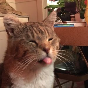 Meet your Posher, Fran